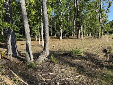 This waterfront lot in Freeport, FL offers waterfront living - photo 4