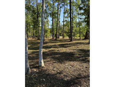 This waterfront lot in Freeport, FL offers waterfront living - photo 5