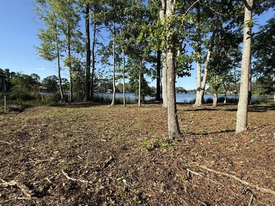 This waterfront lot in Freeport, FL offers waterfront living - photo 7
