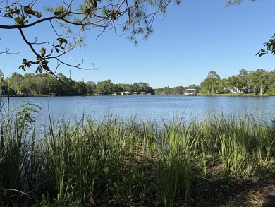 This waterfront lot in Freeport, FL offers waterfront living - photo 8
