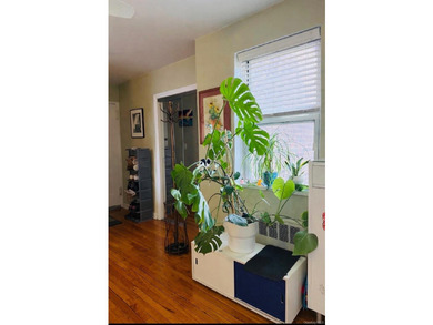 Beautiful Top-Floor Garden Apartment in Prime Kew Garden Hills - photo 10