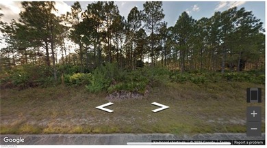 Lehigh Acres Area Lot For Sale in Lehigh Acres Florida