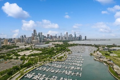 Beautiful lake facing penthouse at historic Chess Lofts situated - photo 30