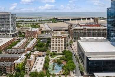 Beautiful lake facing penthouse at historic Chess Lofts situated - photo 31
