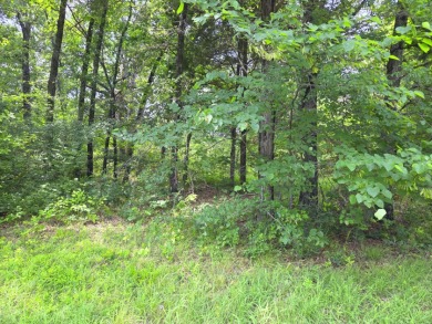 Lot 442 Waters Edge Dr - photo 6