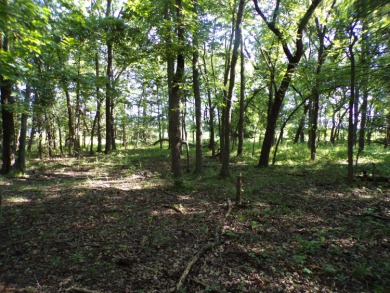 Lake Acreage For Sale in Greenfield, Missouri