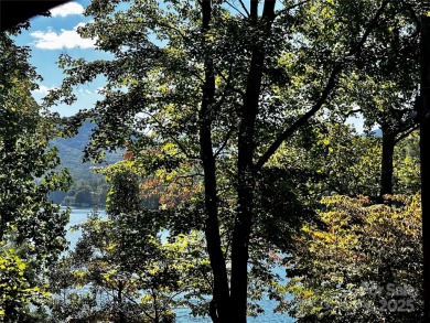 Lake Lure Lot For Sale in Lake Lure North Carolina