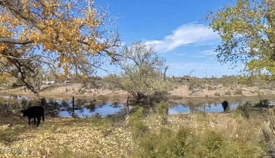 645.888 ACRE FARM WITH BARN, CATTLE CHUTES AND CITY WATER. HERDS - photo 4