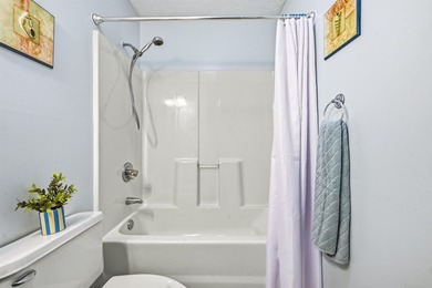 BEAUTIFULLY FURNISHED GROUND FLOOR UNIT- THIS 1 BEDROOM 1 BATH - photo 11