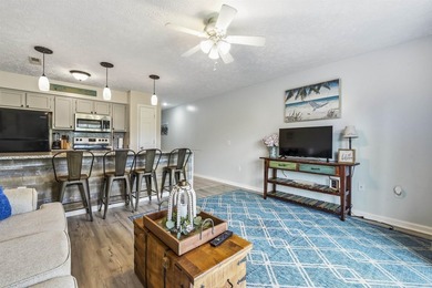 BEAUTIFULLY FURNISHED GROUND FLOOR UNIT- THIS 1 BEDROOM 1 BATH - photo 23