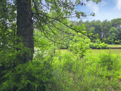 Lot 442 Waters Edge Dr - photo 29