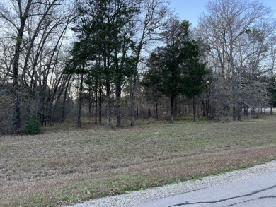 Lot 442 Waters Edge Dr - photo 9