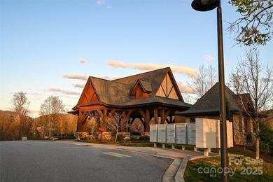 Experience Asheville Living at it's Finest in the highly - photo 12