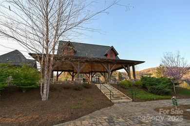Experience Asheville Living at it's Finest in the highly - photo 13