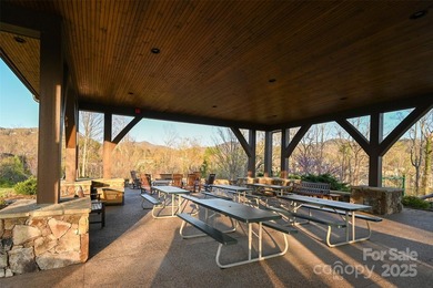 Experience Asheville Living at it's Finest in the highly - photo 14