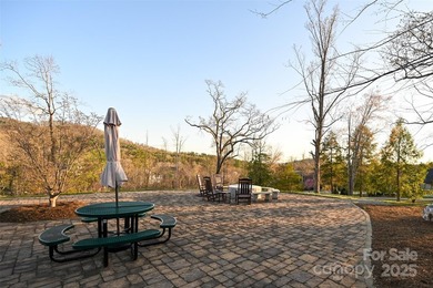 Experience Asheville Living at it's Finest in the highly - photo 15