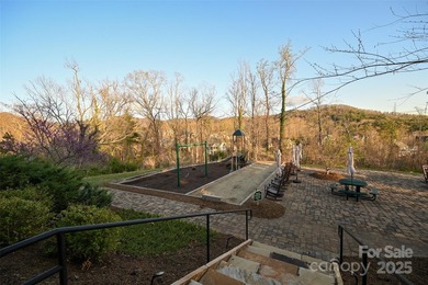 Experience Asheville Living at it's Finest in the highly - photo 19