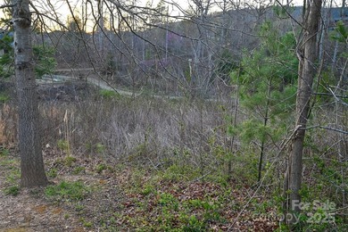 Experience Asheville Living at it's Finest in the highly - photo 20