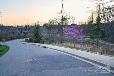 Experience Asheville Living at it's Finest in the highly - photo 21