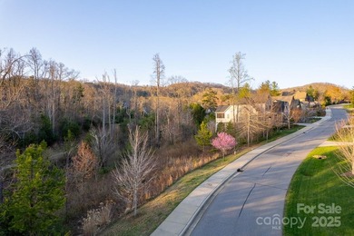 Experience Asheville Living at it's Finest in the highly - photo 22