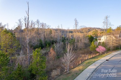 Experience Asheville Living at it's Finest in the highly - photo 23
