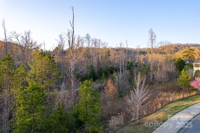 Experience Asheville Living at it's Finest in the highly - photo 24