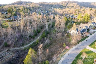 Experience Asheville Living at it's Finest in the highly - photo 25