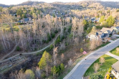 Experience Asheville Living at it's Finest in the highly - photo 26