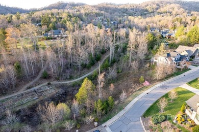 Experience Asheville Living at it's Finest in the highly - photo 27