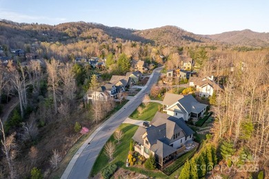 Experience Asheville Living at it's Finest in the highly - photo 28