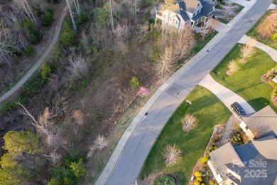 Experience Asheville Living at it's Finest in the highly - photo 29