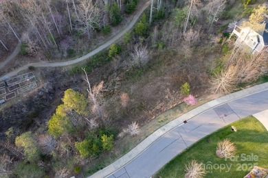 Experience Asheville Living at it's Finest in the highly - photo 30