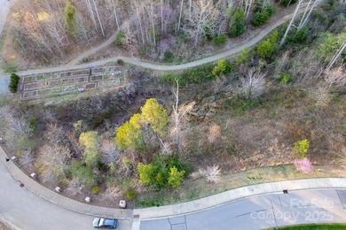 Experience Asheville Living at it's Finest in the highly - photo 31
