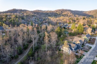 Experience Asheville Living at it's Finest in the highly - photo 32