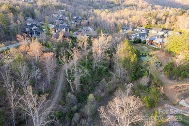 Experience Asheville Living at it's Finest in the highly - photo 33