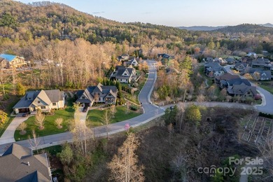 Experience Asheville Living at it's Finest in the highly - photo 35