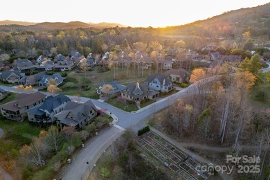 Experience Asheville Living at it's Finest in the highly - photo 36