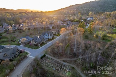 Experience Asheville Living at it's Finest in the highly - photo 37