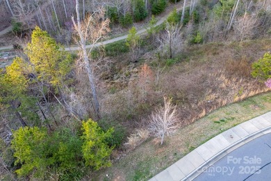 Experience Asheville Living at it's Finest in the highly - photo 38