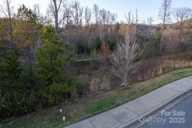 Experience Asheville Living at it's Finest in the highly - photo 39