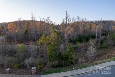 Experience Asheville Living at it's Finest in the highly - photo 41