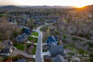 Experience Asheville Living at it's Finest in the highly - photo 42