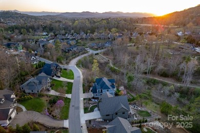 Experience Asheville Living at it's Finest in the highly - photo 43