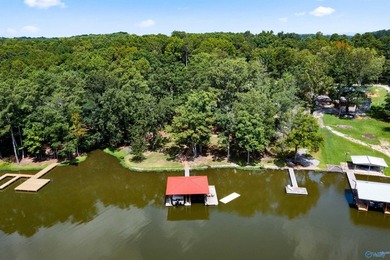 If you are looking for the perfect lake getaway THIS IS THE ONE! - photo 48