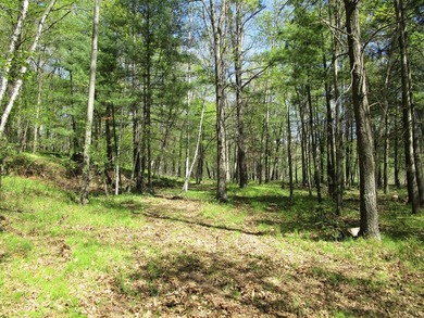 Long Lake - Burnett County Acreage For Sale in Siren Wisconsin
