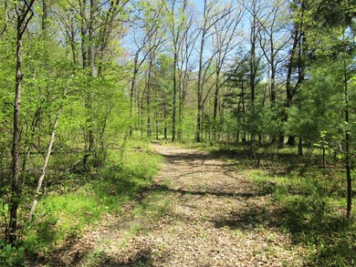 Nice 8.2 acre parcel located east of Siren. Land is rolling and - photo 2