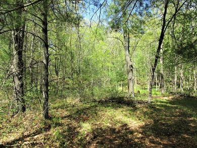 Nice 8.2 acre parcel located east of Siren. Land is rolling and - photo 3
