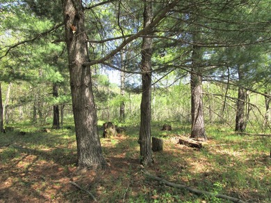 Nice 8.2 acre parcel located east of Siren. Land is rolling and - photo 4