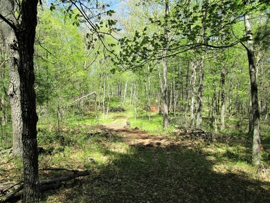 Nice 8.2 acre parcel located east of Siren. Land is rolling and - photo 5
