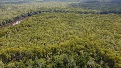 Lake Acreage For Sale in Maurepas, Louisiana